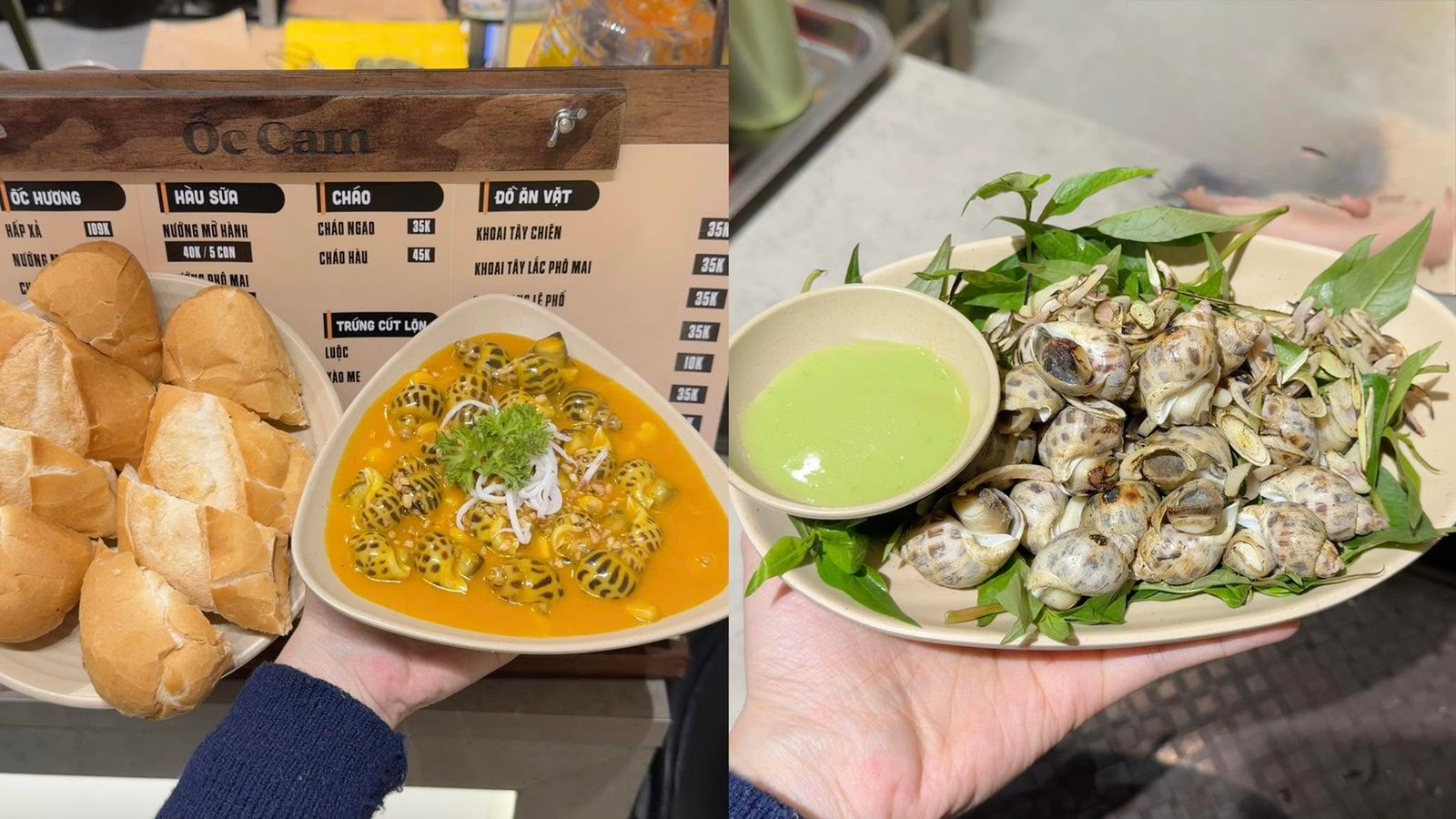 Ốc Cam Trường Yên